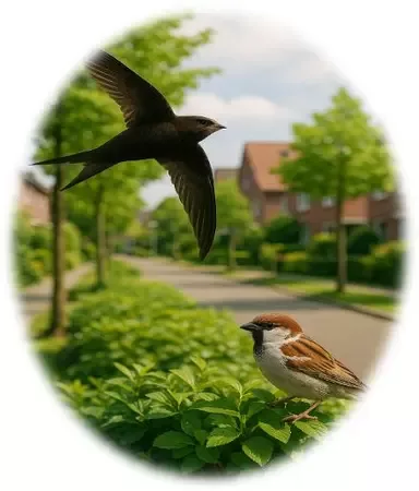 Gebiedsbreed Soortenonderzoek: Efficiënt & Overzichtelijk